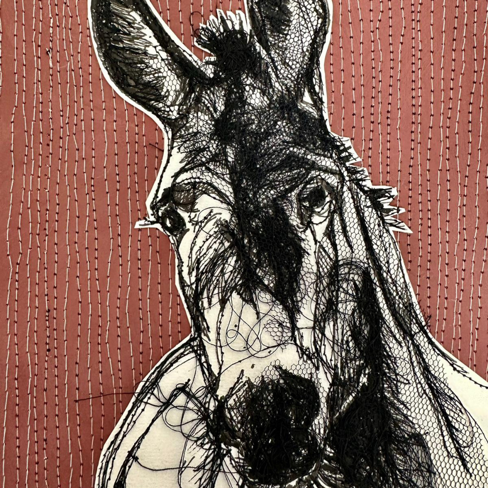 Farm Animals Donkey Greeting Card by Frankie Creith close up