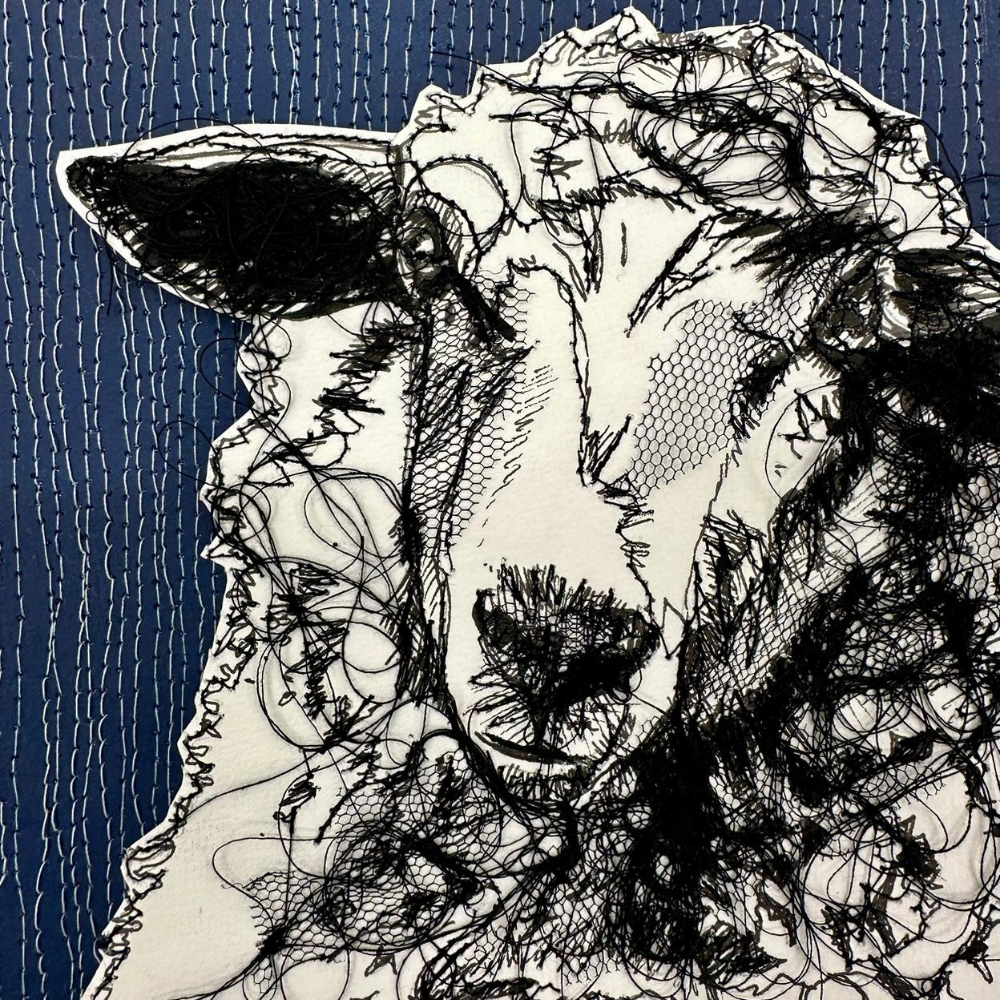 Farm Animals Sheep Greeting Card by Frankie Creith close up