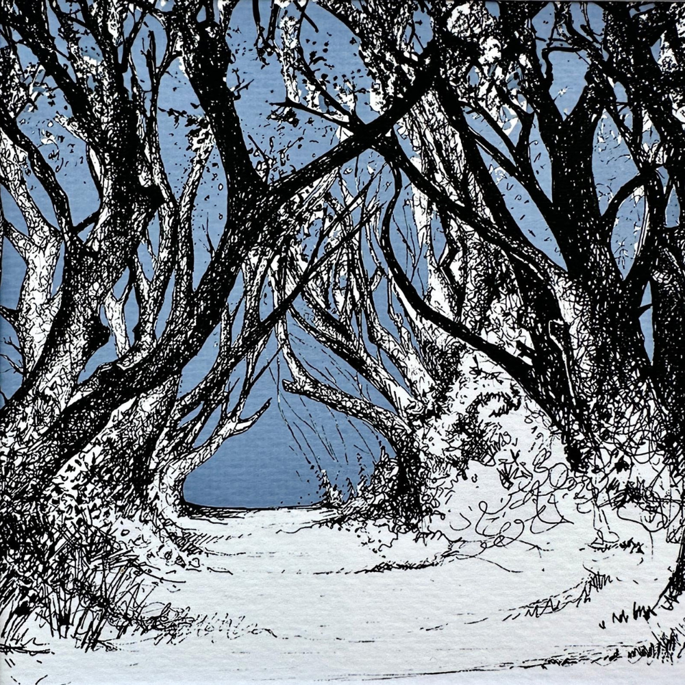 The Dark Hedges Pen and Ink Giclee Print by Frankie Creith