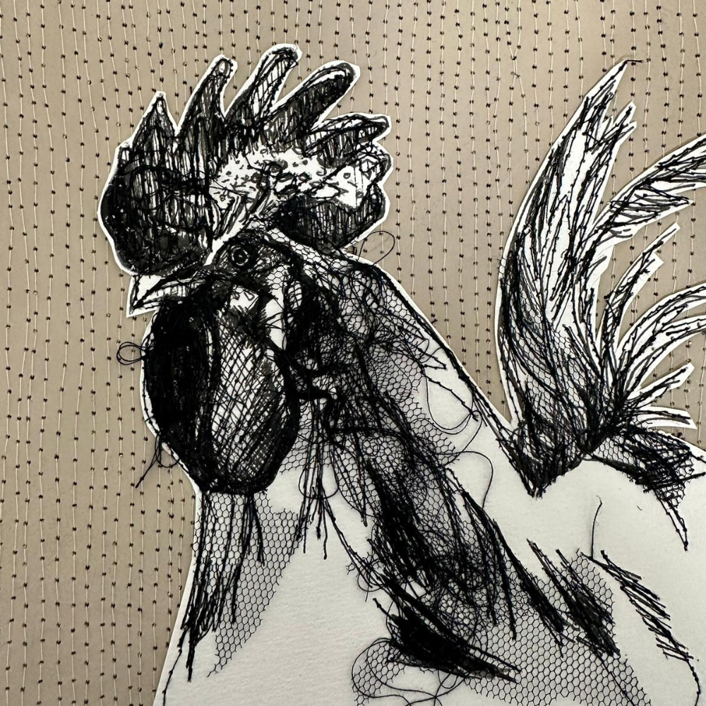 Farm Animals Chicken Box Framed Digital Art Print Close Up