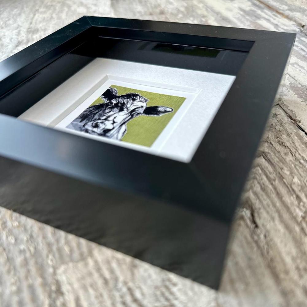 Farm Animals Cow Box Framed Print (Black close up)