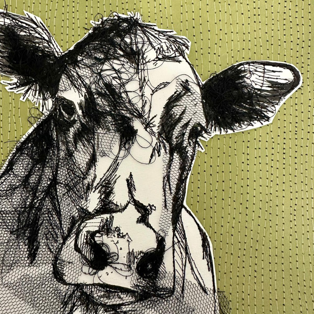 Farm Animals Cow Box Framed Digital Art Print Close Up