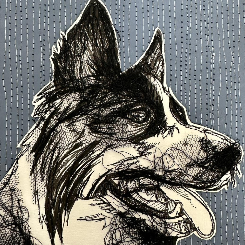 Farm Animals Dog Box Framed Digital Art Print Close Up