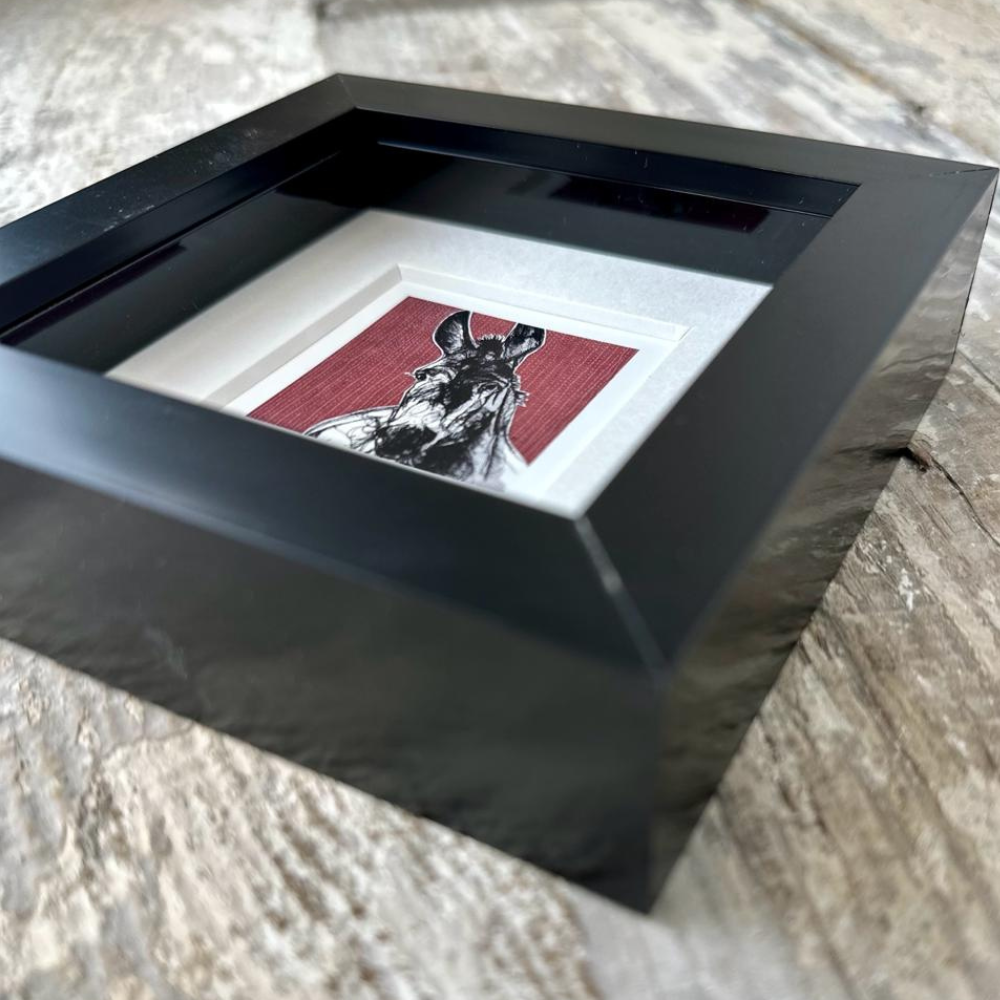 Farm Animals Donkey Box Framed Print (Black close up)