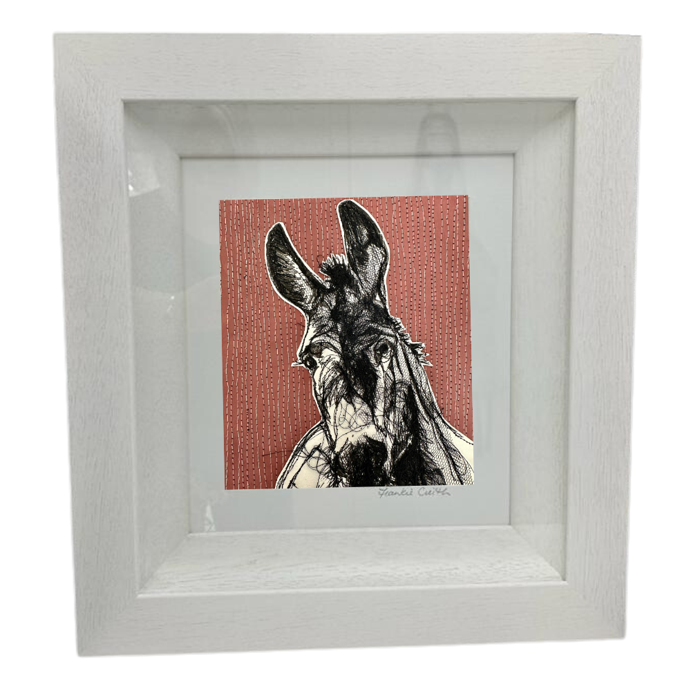 Farm Animals Donkey by Frankie Creith Northern Ireland (Framed)