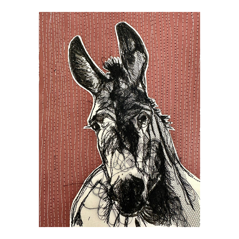 Farm Animals Donkey by Frankie Creith Northern Ireland Artist