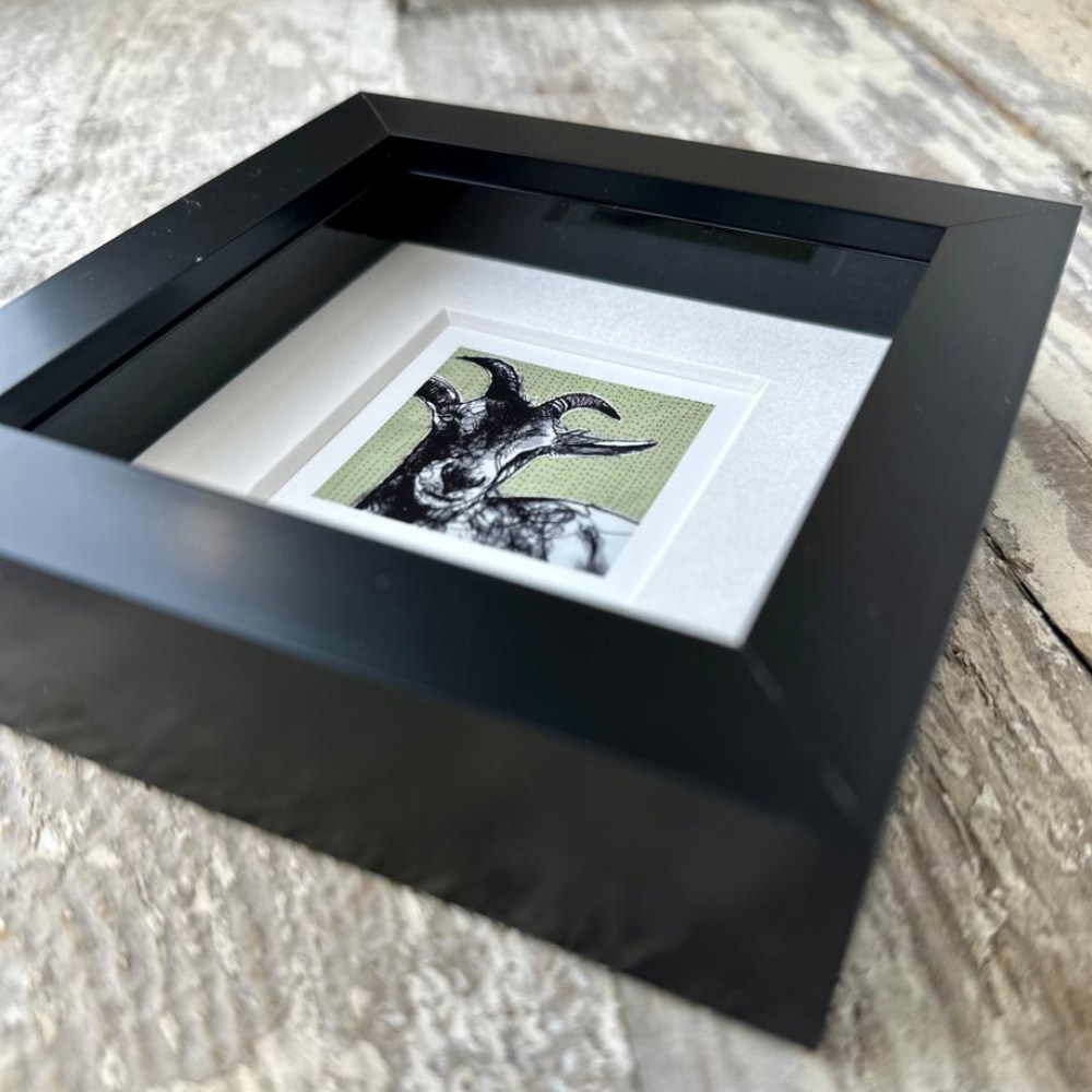 Farm Animals Goat Box Framed Print (Black close up)
