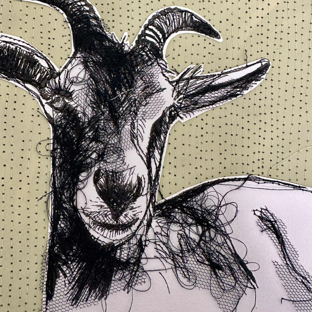 Farm Animals Goat Box Framed Digital Art Print close up