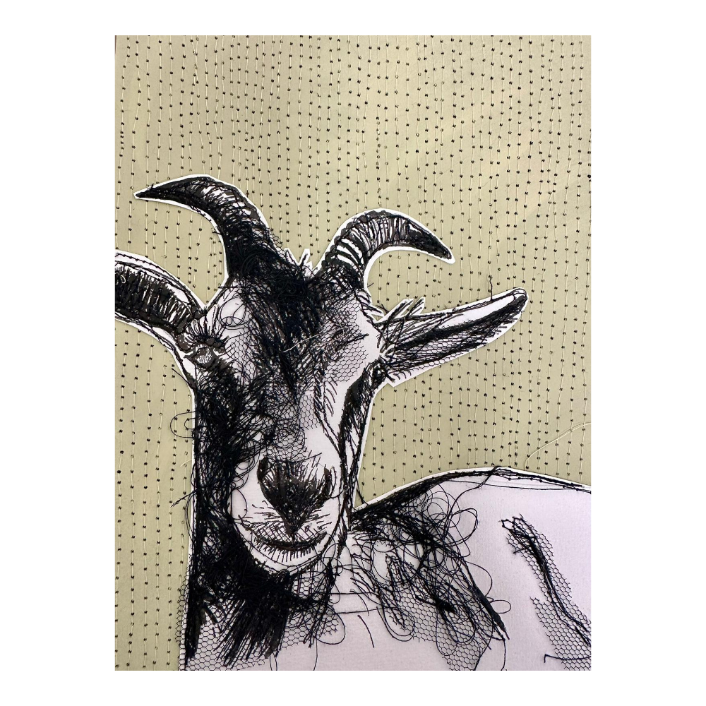 Farm Animals Goat by Frankie Creith Northern Ireland Artist