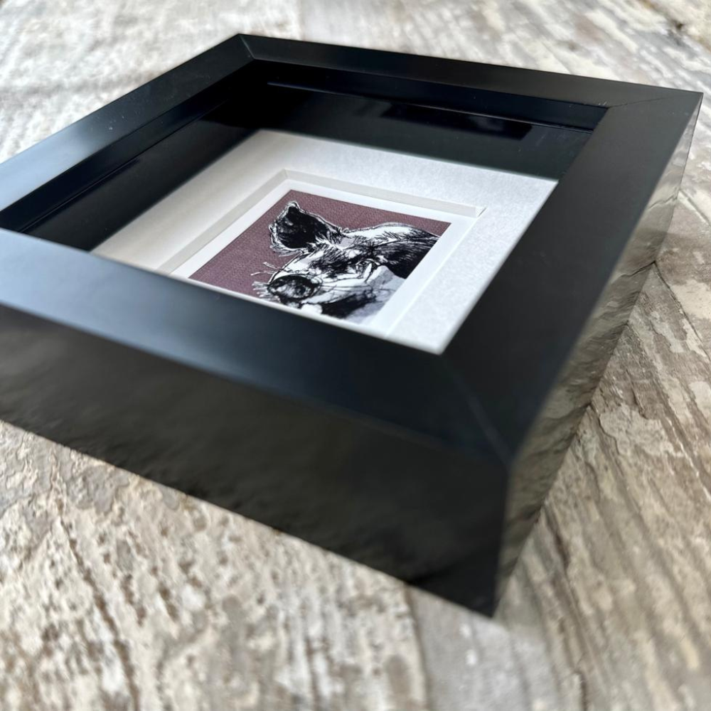Farm Animals Pig Box Framed Print (Black close up)