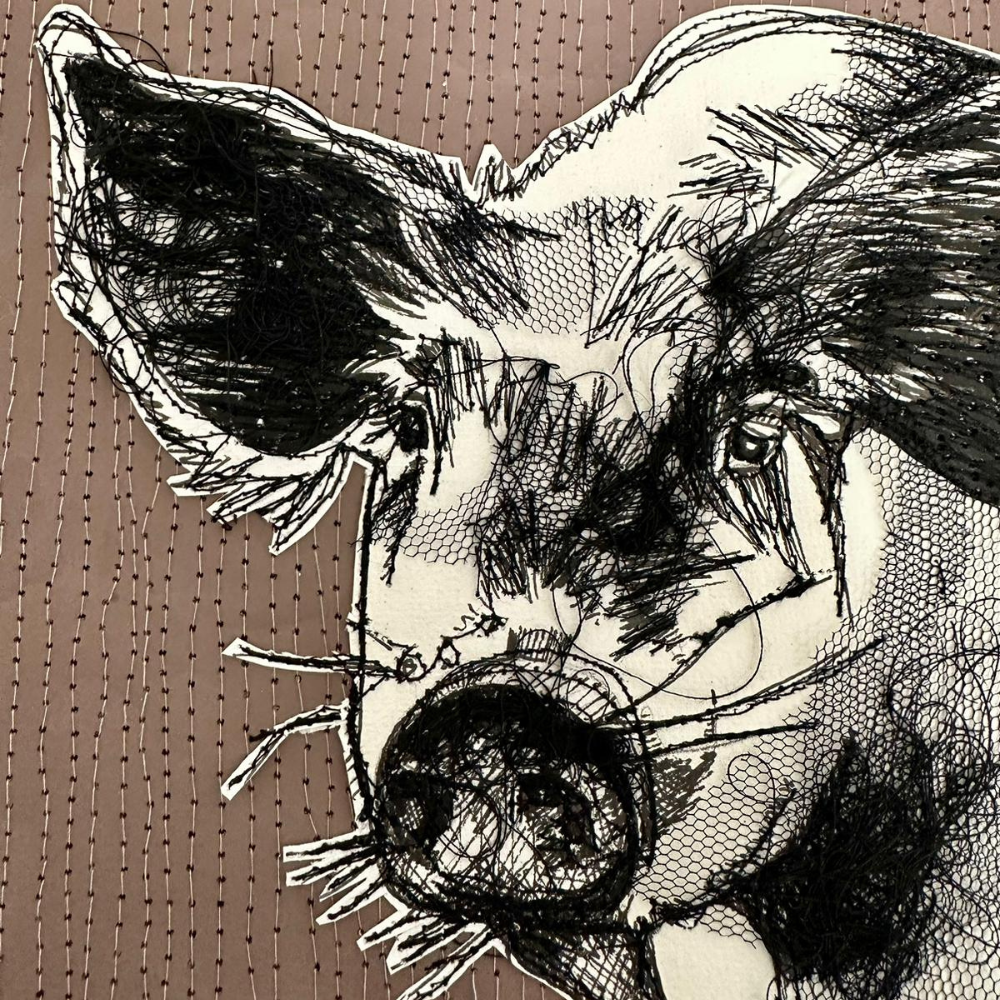 Farm Animals Pig Greeting Card by Frankie Creith close up