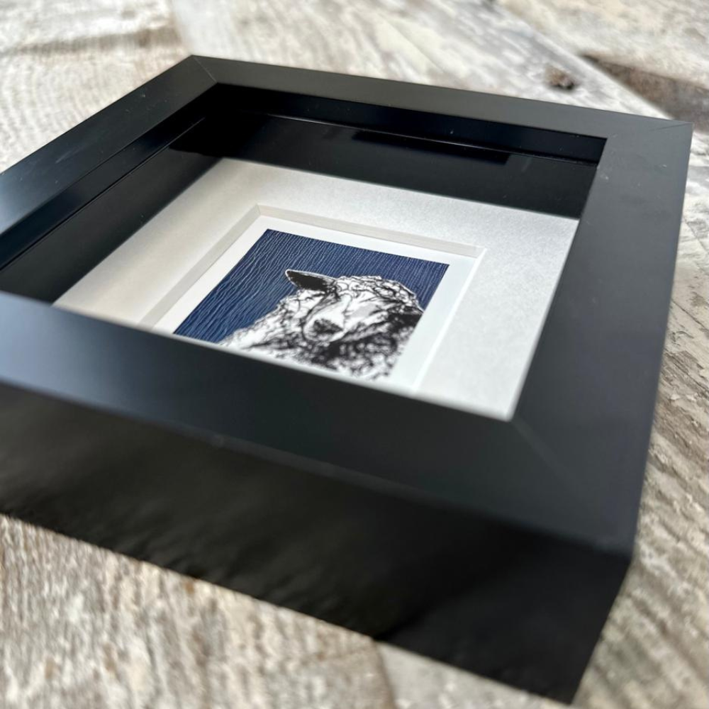 Farm Animals Sheep Box Framed Print (Black close up)
