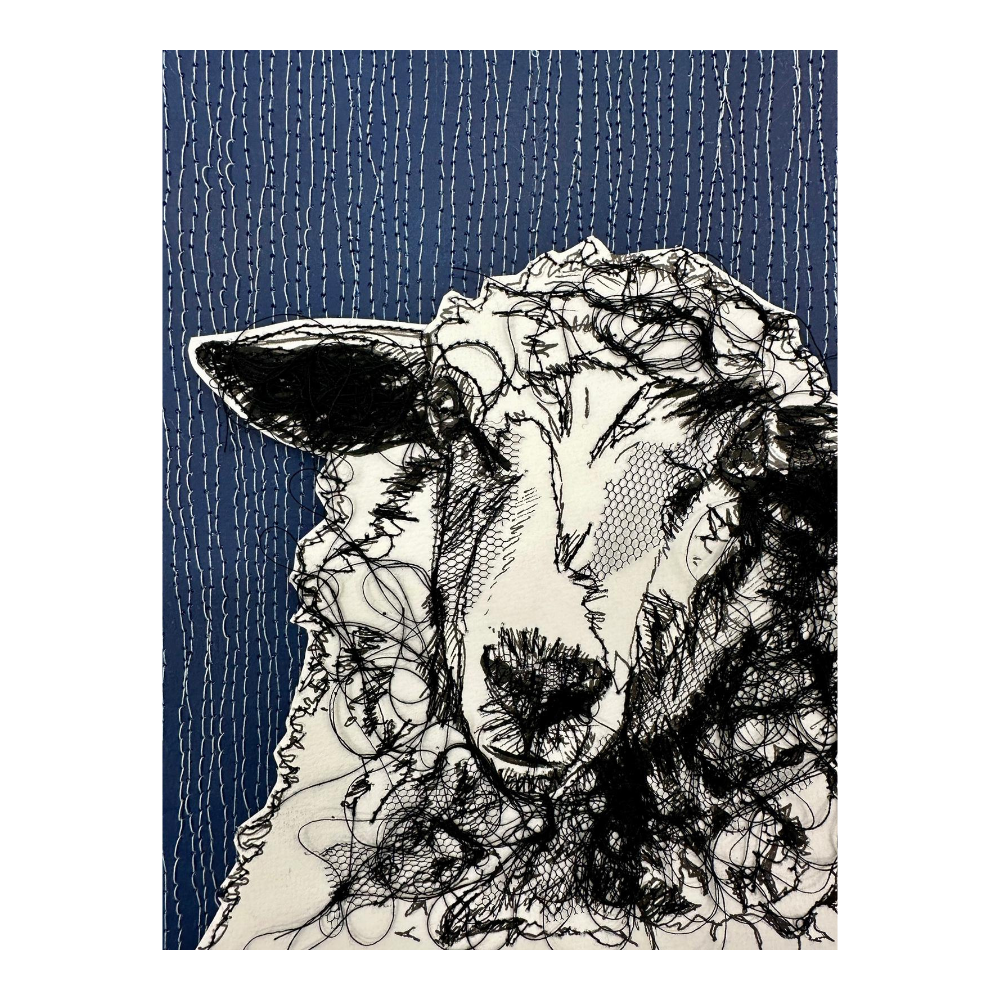 Farm Animals Sheep by Frankie Creith Northern Ireland Artist