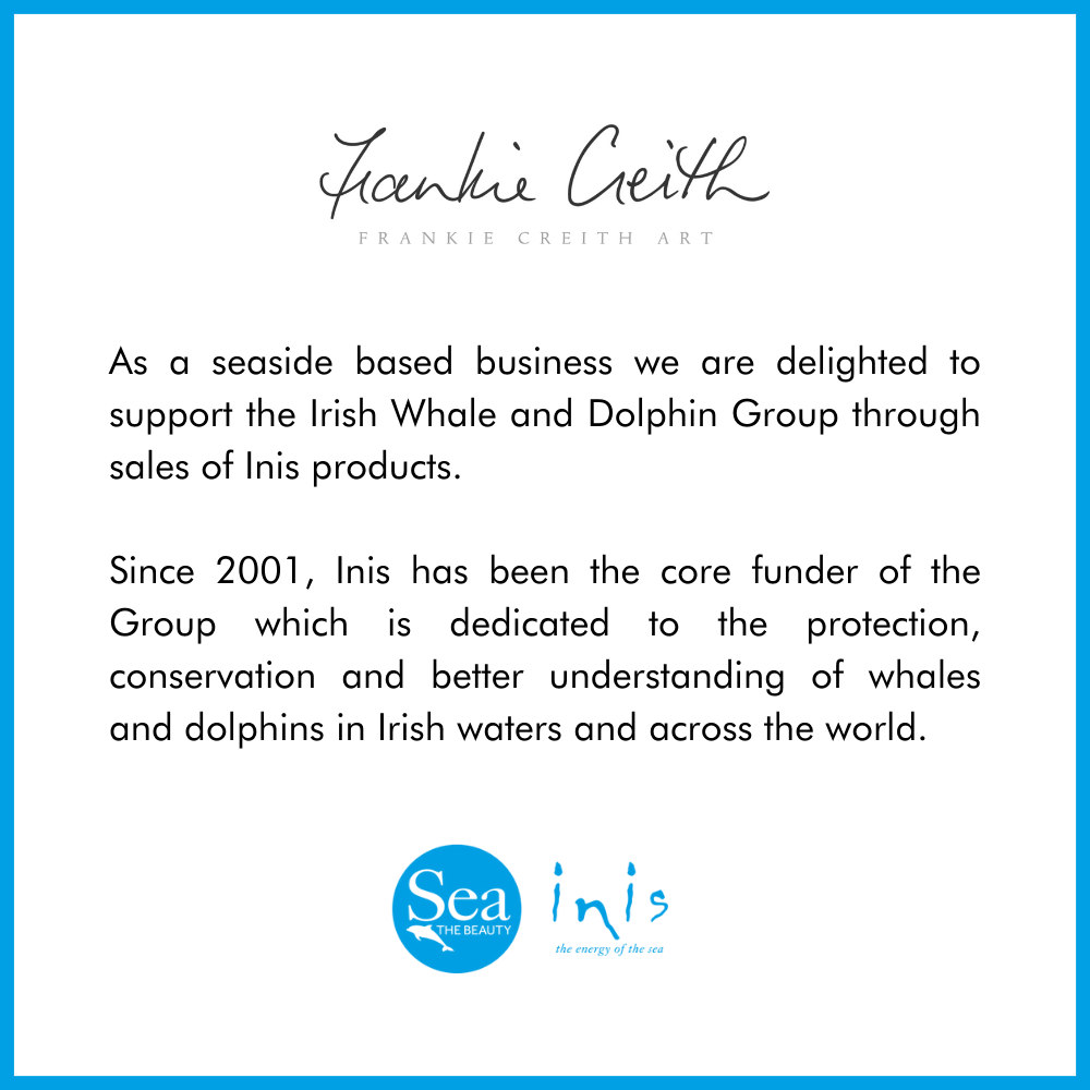 Inis Hand Sanitiser story stockist Frankie Creith Art