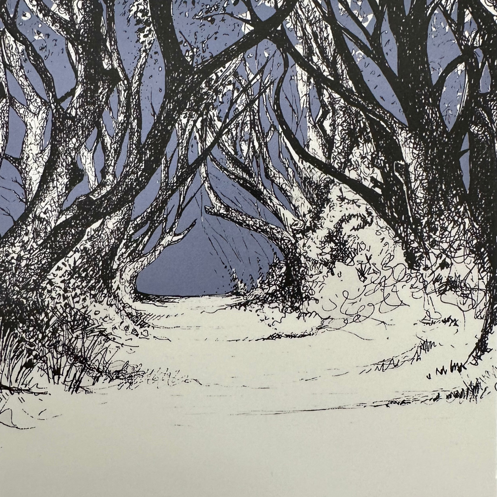 The Dark Hedges Box Framed Print detailed view